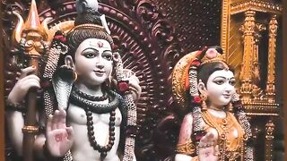 Shiv status