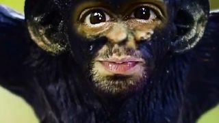 भइया सेब क्या भ व????????????|Funny Comedy video #viral#short