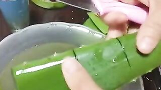 BEAUTY HACKS WITH ALOE VERA