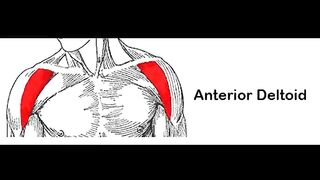 Shoulder exercises