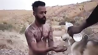 Dog sy pyar
