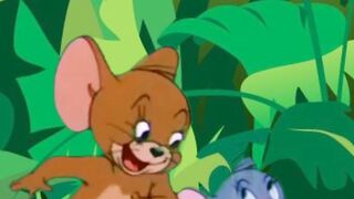 Tom and jerry funny video
