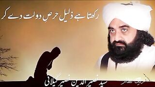 Peer nasir