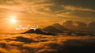 Islamic Status what's app beautiful status