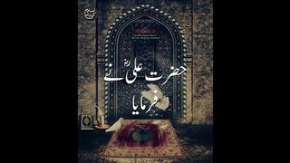 Islamic Status what's app beautiful status