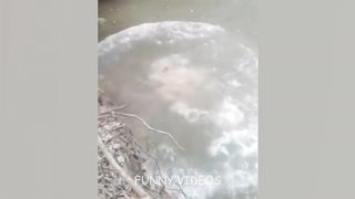 Full laugh