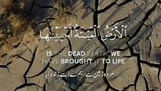 Tlwat e quran