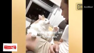 CATS Actually Love Their Humans Here are the Proofs Cats Lover # P35