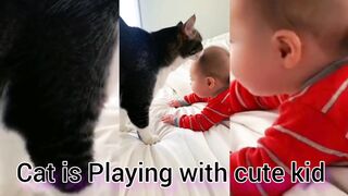 Cat is Playing with cute kid| cat and baby