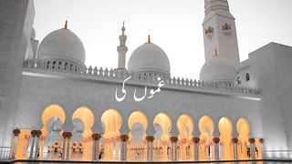 Islamic Status what's app beautiful status