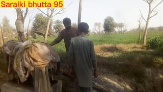 Lalach ka saza