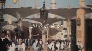 Islamic Status what's app beautiful status