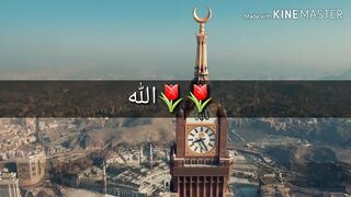 Islamic Status what's app beautiful status