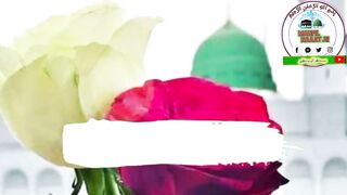 Islamic Status what's app beautiful status