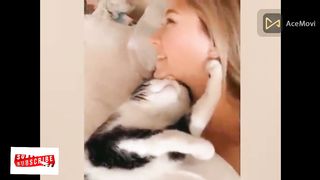 Cute Cats Have The Most Special Relationship With Their Owner BFFs - Cute Cat Moments # P36