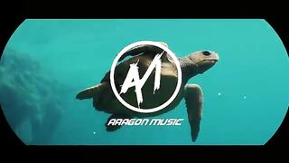 Aragon_Music_-_Horia_(Music_Romania_Style_2021)(360p).