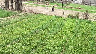 Kankeshkay game