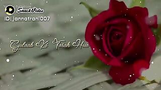 Best shayari