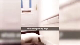 funny animal videos 2023 funny_animal_videos  funny_pets_videos  funny_animal_videos  funny_petz_videos 2023 funny animal funny videos 2023