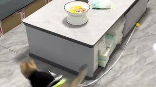 Funny cat videos 2023