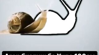 ????????