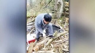 IDIOTS AT WORK!