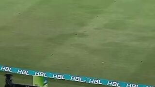 PSL 8 Match highlights