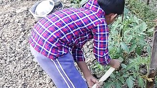 Village cultivation culture