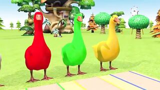 Very Beautiful Funny Video