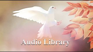 Fly — KV - Free Background Music - Audio Library