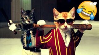 Funniest animals |2023 | part1