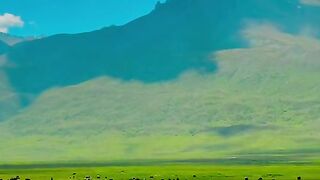 Deosai National Park