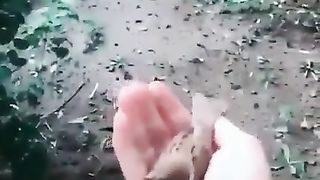Bird ????