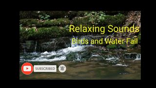 Relaxing sounds waterfall and birds sounds