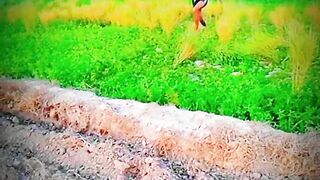 long jump #longjump