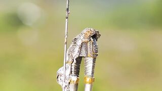 Useful crafts from metal scraps!