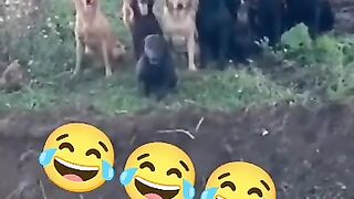 Edhibxaroojfsdjigfe