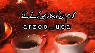 Urdo shayari whatsapp status video