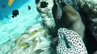 Natural beauty under the water????