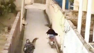 Funny video ????????
