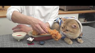 Fried Chicken