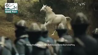 واللہ کیا منظر تھا جب خواتین کا محاصرہ کرلیا وزیر کے