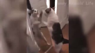 Funny