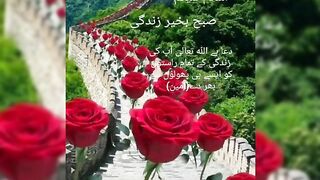 Islamic Video | WhatsApp Status