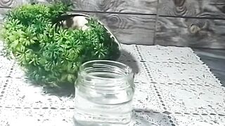 Store lemon for long time