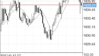 Gold Trade Profit