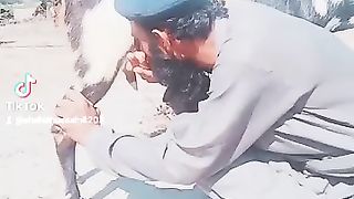 توکي