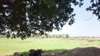 Tiwari ke futi kismat