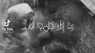 Status video تلاوت قرآن