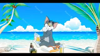 Tom And Jerry Cartoon
